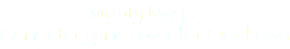 Mighty Magus Computer game cover for Quicksilva